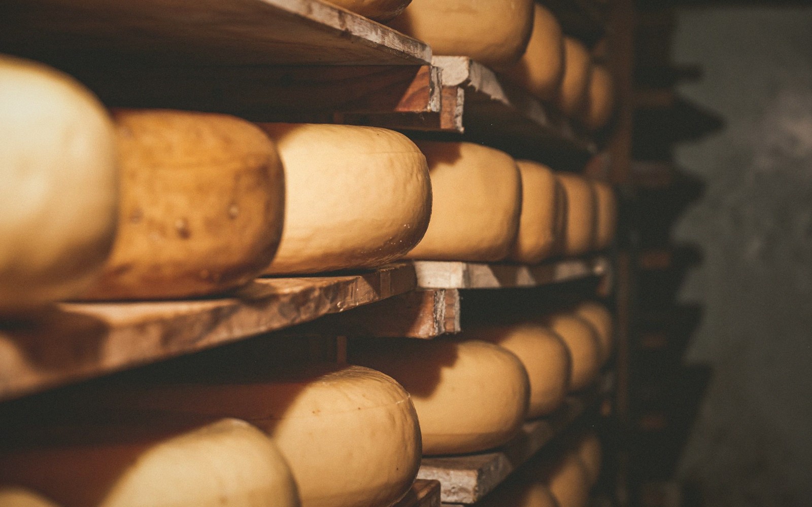 Beaufort: The Prince of Gruyères