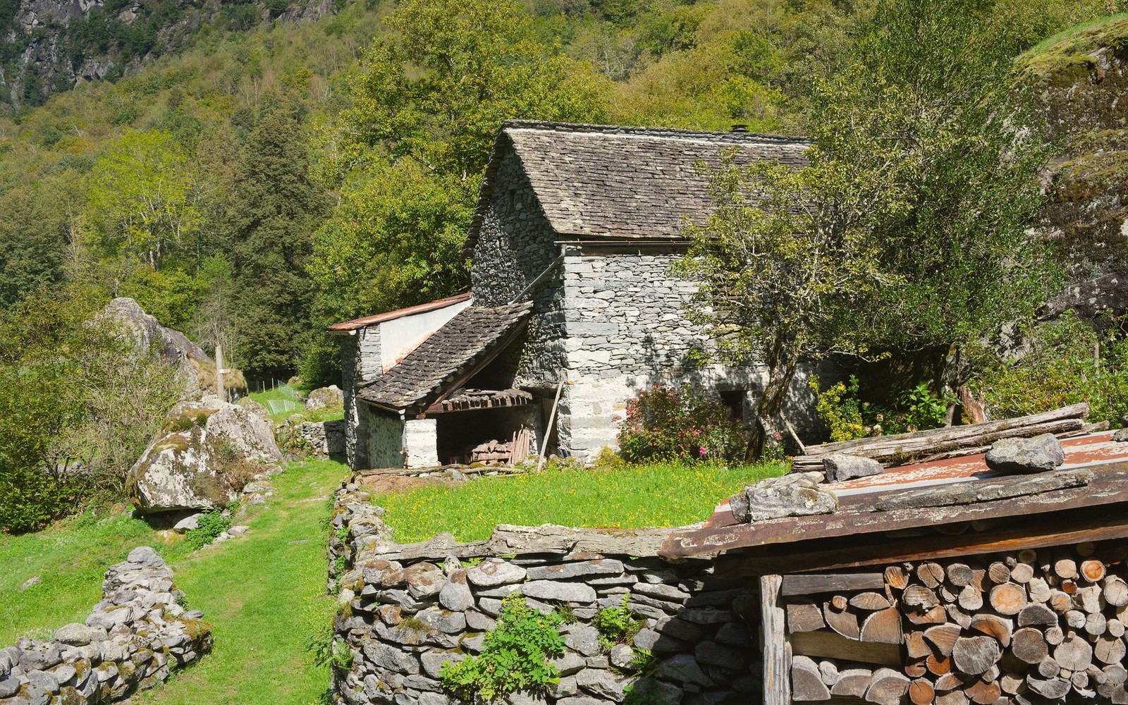 Stone Hamlets and Larch Forest