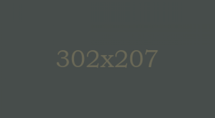 partner-02